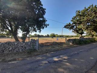 Terreno agricolo in vendita a mottola contrada boara s.n.c.