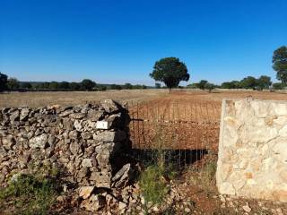 Terreno agricolo in vendita a mottola contrada boara s.n.c.