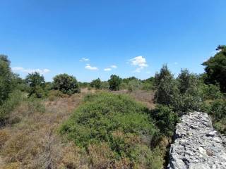 Terreno agricolo in vendita a mottola contrada boara