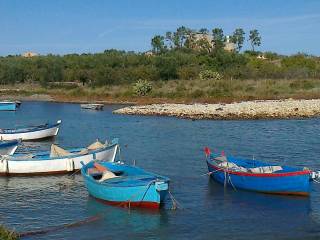 Casale in in vendita da privato a bisceglie via pantano