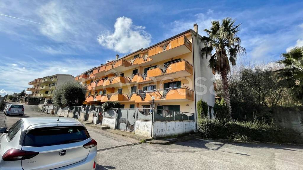 immagine annuncio 7 di 15