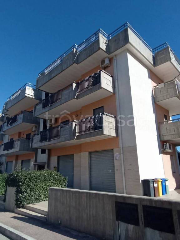 immagine annuncio 1 di 14