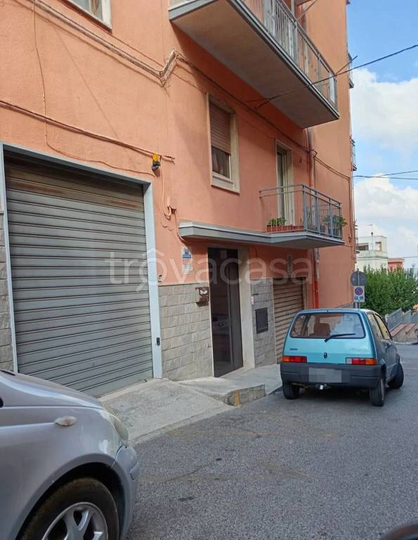 immagine annuncio 6 di 14