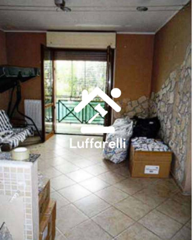 immagine annuncio 2 di 12