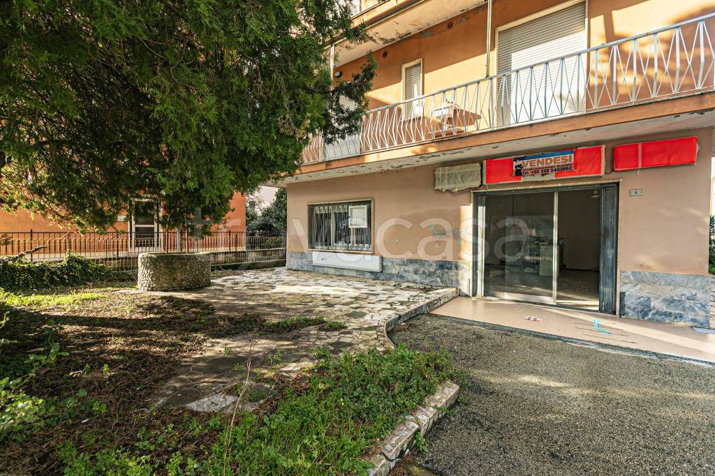 immagine annuncio 6 di 15