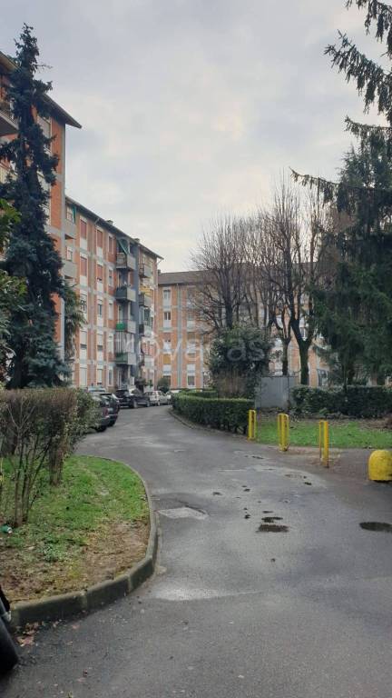 immagine annuncio 7 di 9