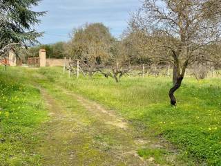 Terreno agricolo in vendita ad alghero 