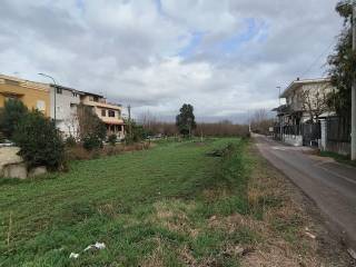 Terreno agricolo in vendita a scisciano via campo