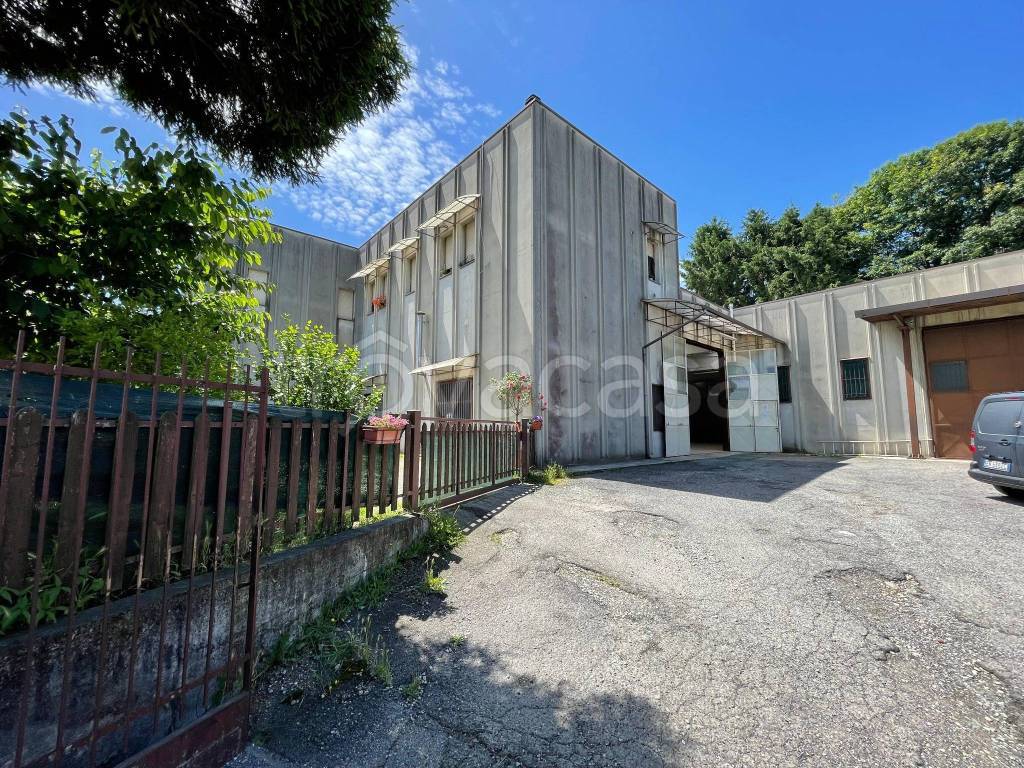 immagine annuncio 3 di 15