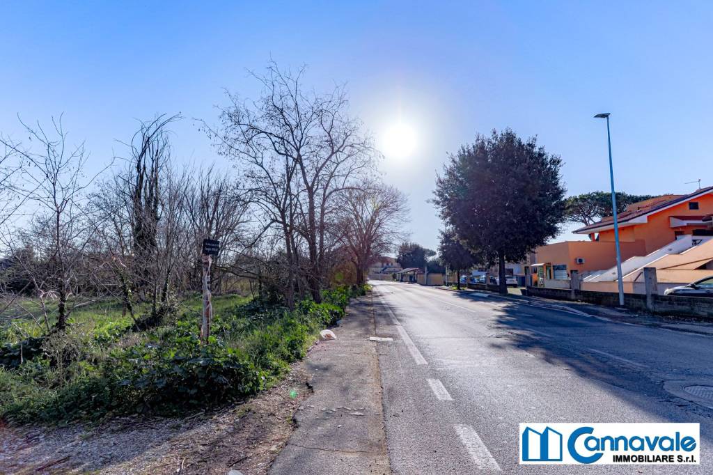 immagine annuncio 11 di 13