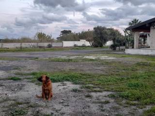 Terreno agricolo in affitto a catania zona industriale strada 20