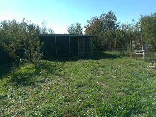 Terreno agricolo in affitto a verona via della diga