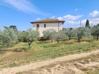 Terreno agricolo in vendita a montepulciano via di torrita