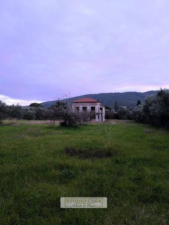 immagine annuncio 2 di 7