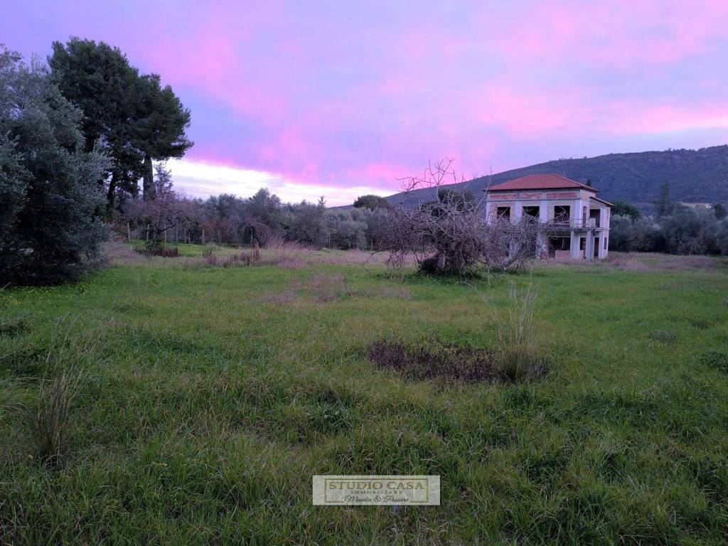 immagine annuncio 3 di 7