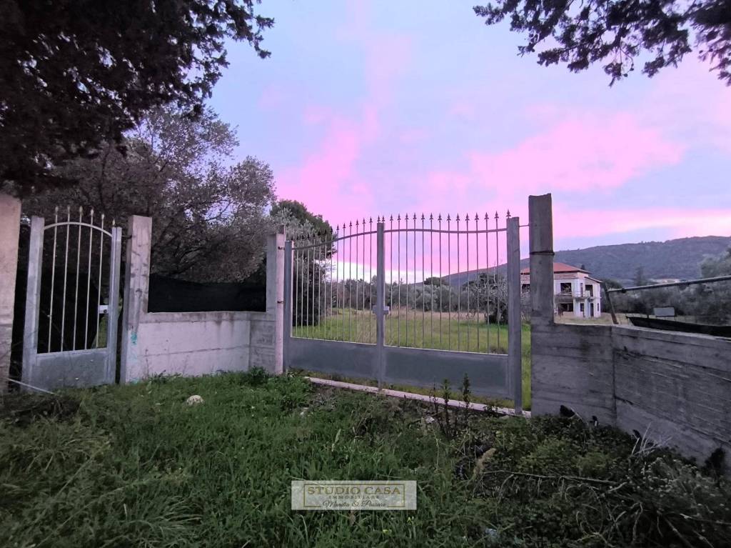 immagine annuncio 4 di 7