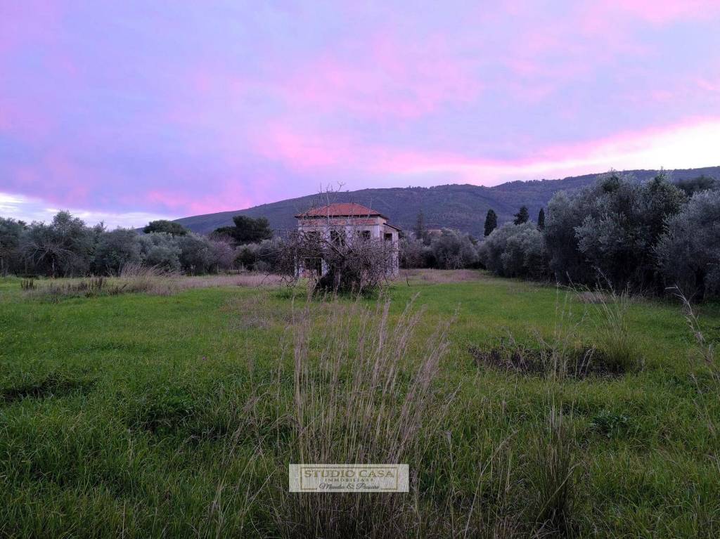 immagine annuncio 6 di 7