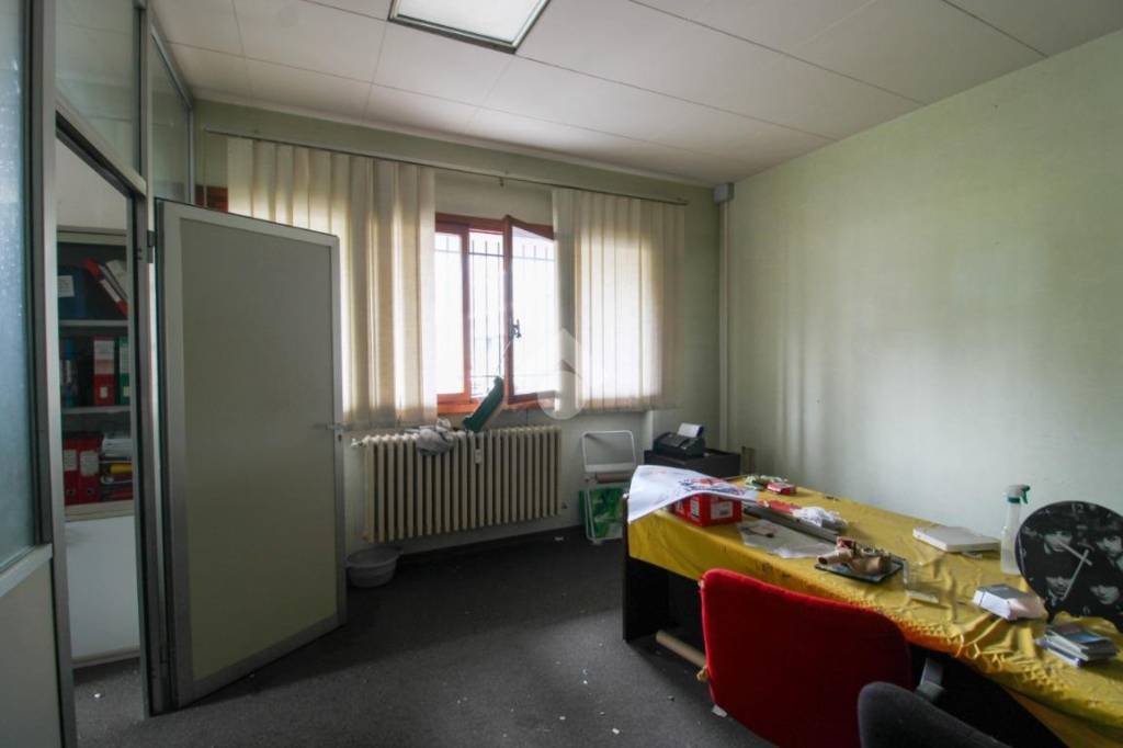 immagine annuncio 5 di 12