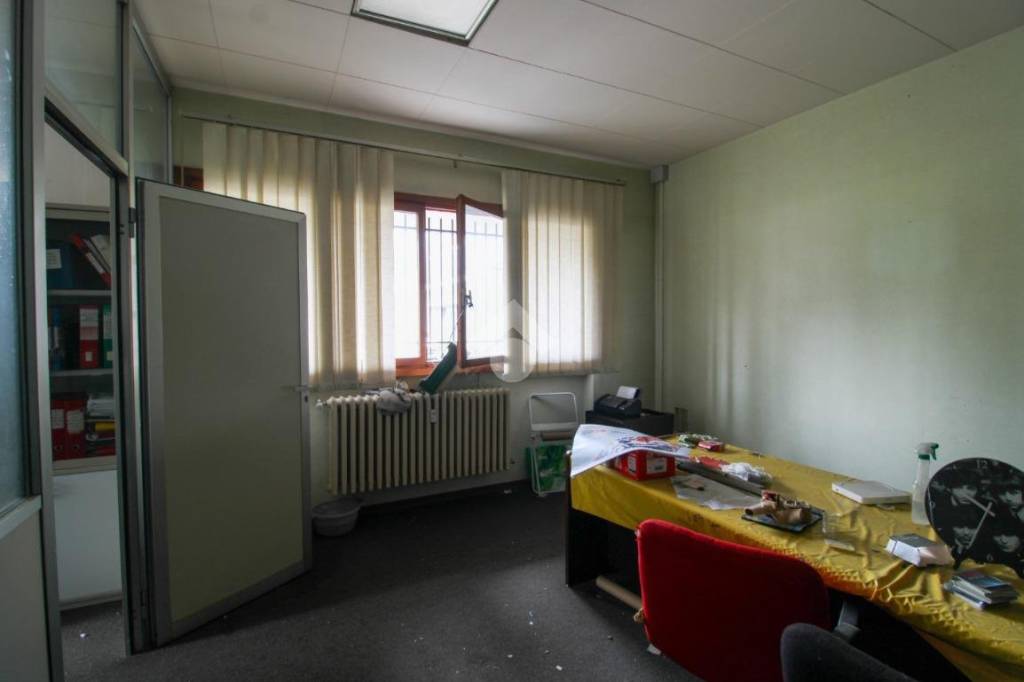 immagine annuncio 6 di 12