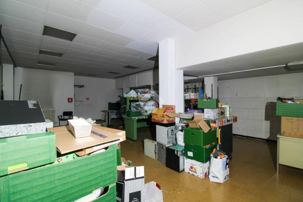 immagine annuncio 9 di 12