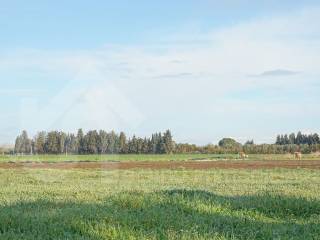 Terreno agricolo in vendita a san sperate 