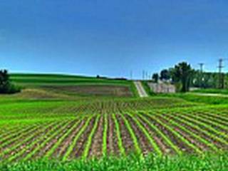 Terreno agricolo in vendita a prata di pordenone 