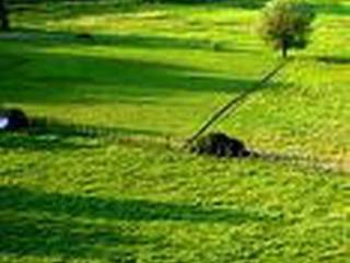 Terreno agricolo in vendita a pasiano di pordenone via capitello