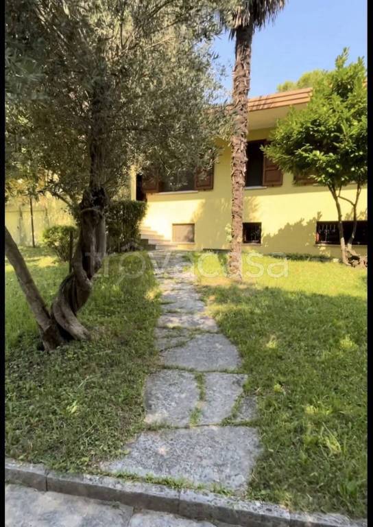 immagine annuncio 1 di 3