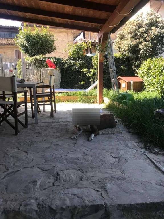 immagine annuncio 2 di 15