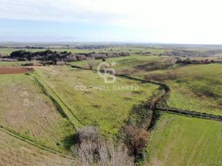 Terreno agricolo in vendita a montalto di castro vulci, snc