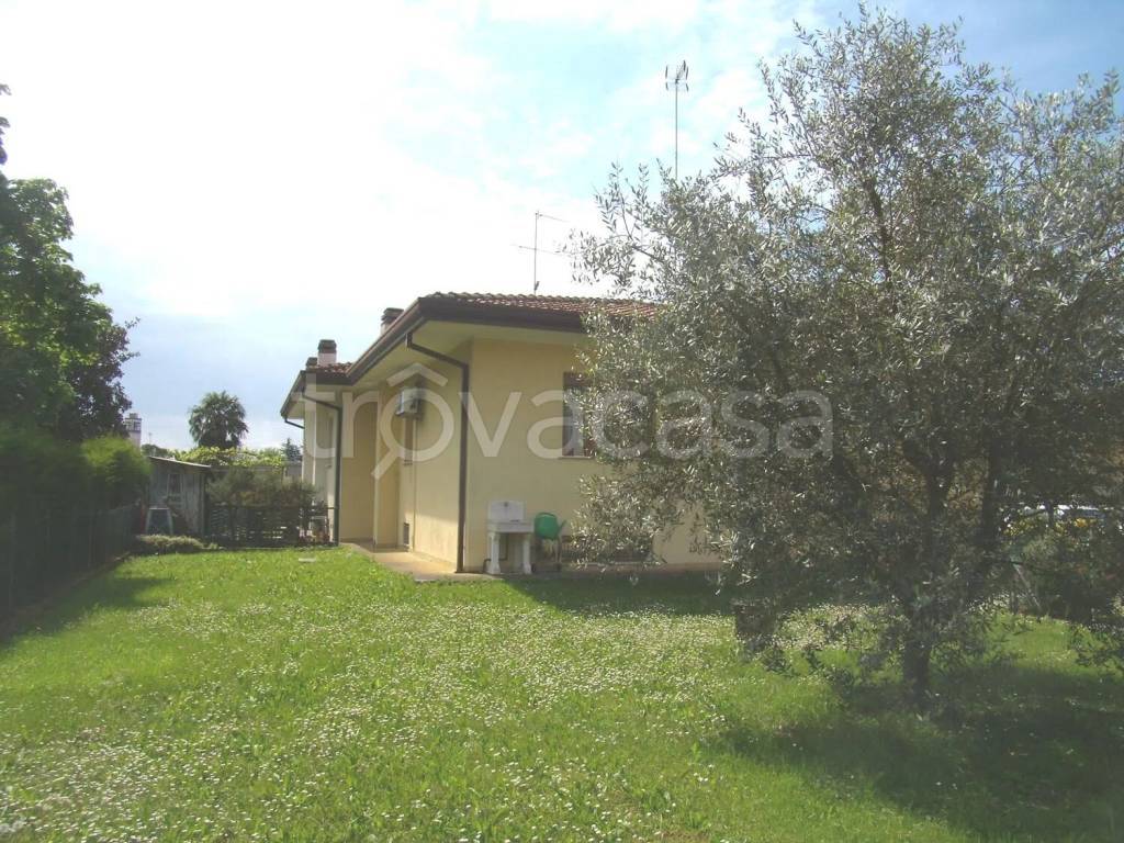 immagine annuncio 3 di 12