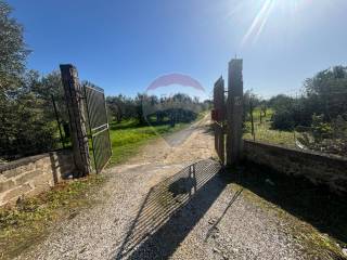 Terreno agricolo in vendita a carlentini statale 194, snc