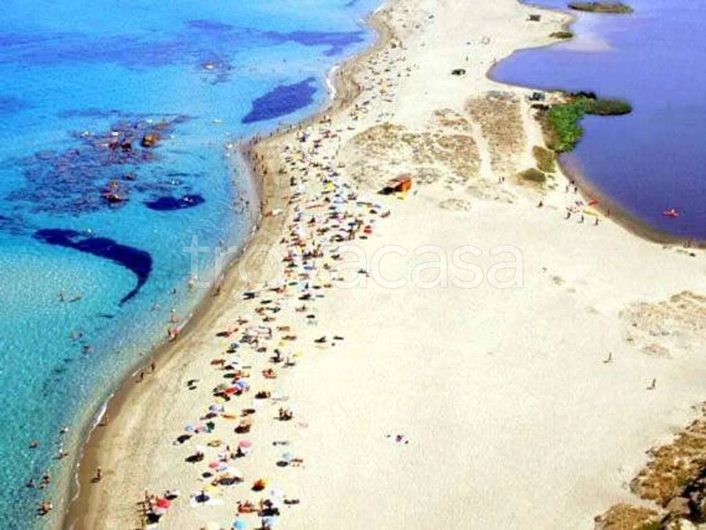 immagine annuncio 2 di 4