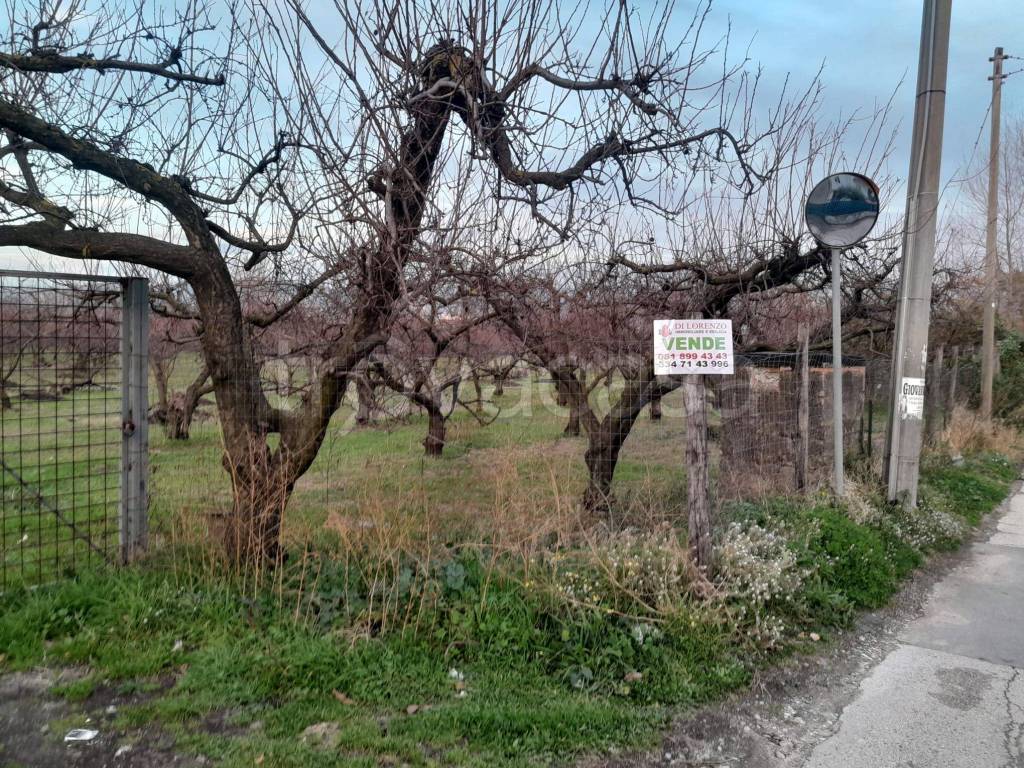 immagine annuncio 3 di 8