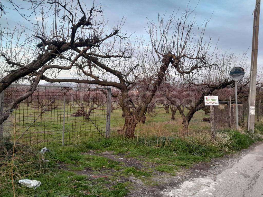 immagine annuncio 4 di 8