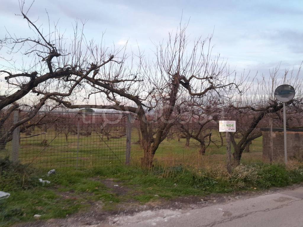immagine annuncio 5 di 8