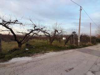 Terreno agricolo in vendita a somma vesuviana via malatesta