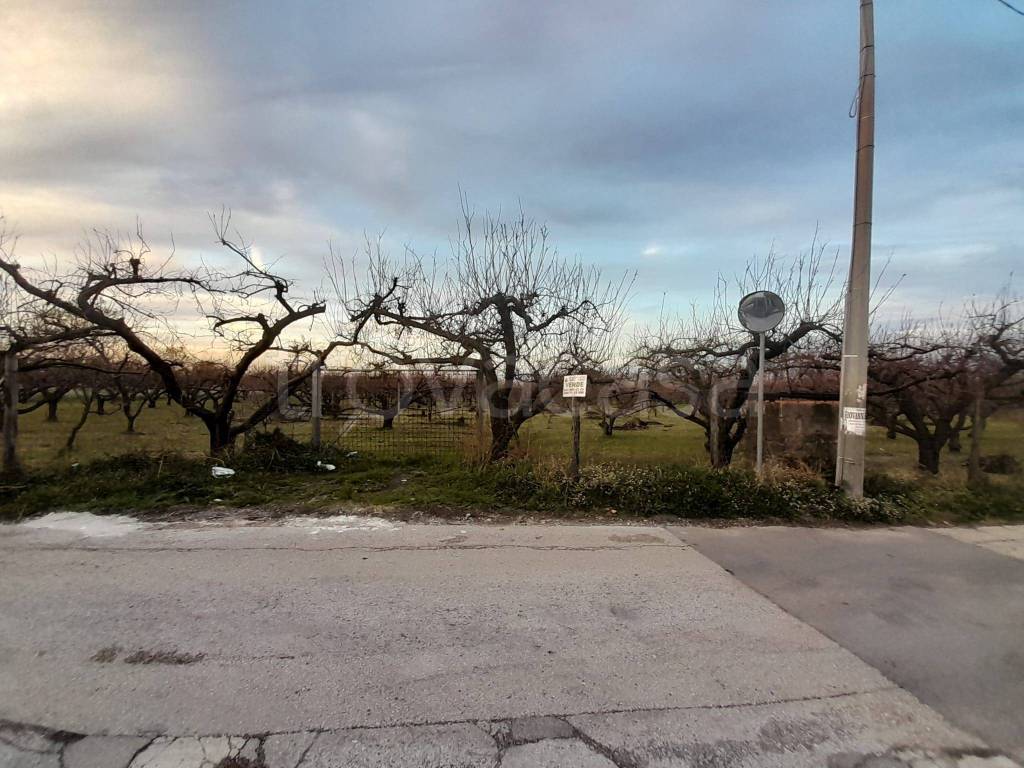 immagine annuncio 6 di 8