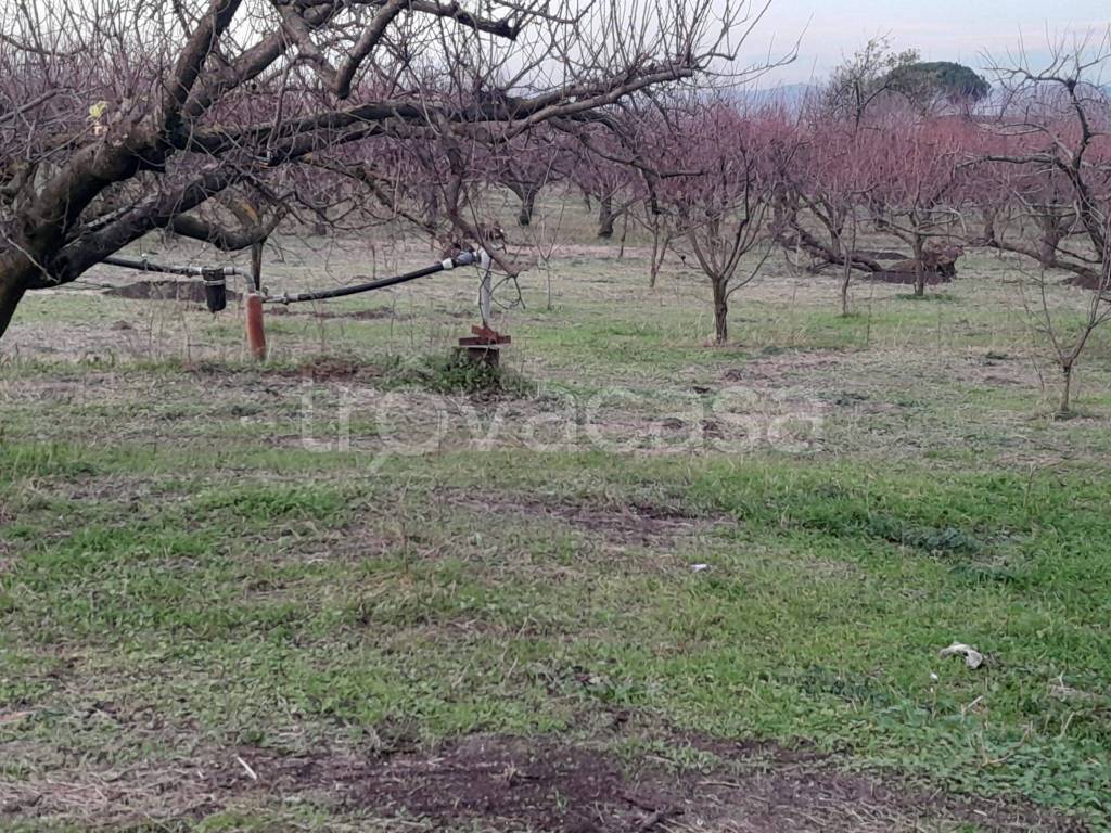immagine annuncio 7 di 8