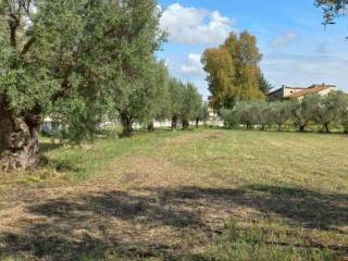 Terreno residenziale in vendita a capua via scarano