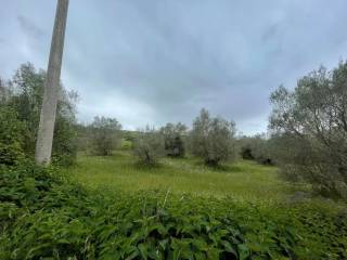 Terreno agricolo in vendita a marta strada provinciale verentana s.n.c.