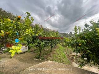 Terreno agricolo in vendita ad altavilla milicia via sottoserra 7