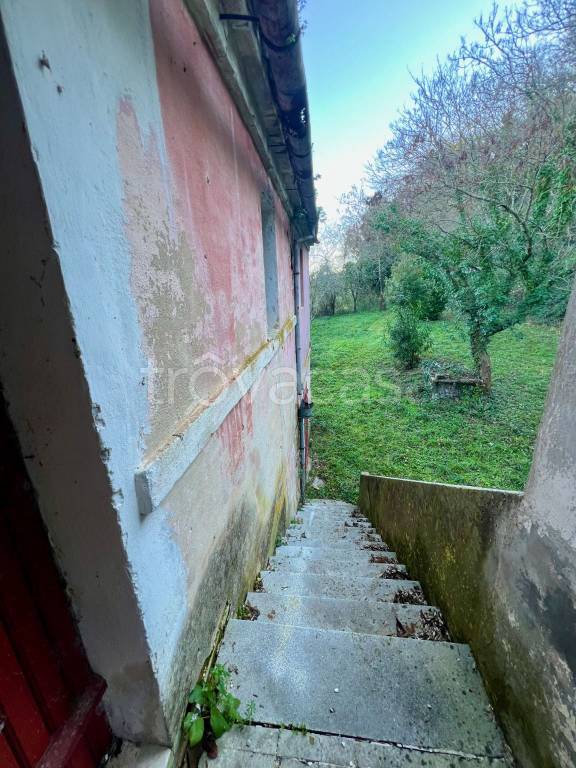 immagine annuncio 4 di 12