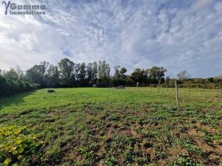 Terreno agricolo in vendita a orbetello strada dello stagnone