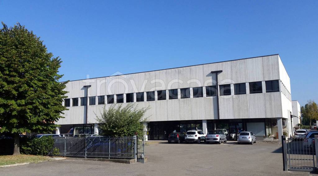 immagine annuncio 5 di 15