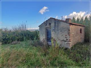 Terreno agricolo in vendita a castagneto carducci località campo al capriolo