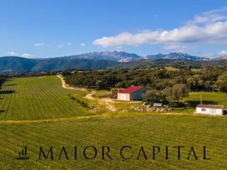 Azienda agricola in vendita a berchidda località san michele