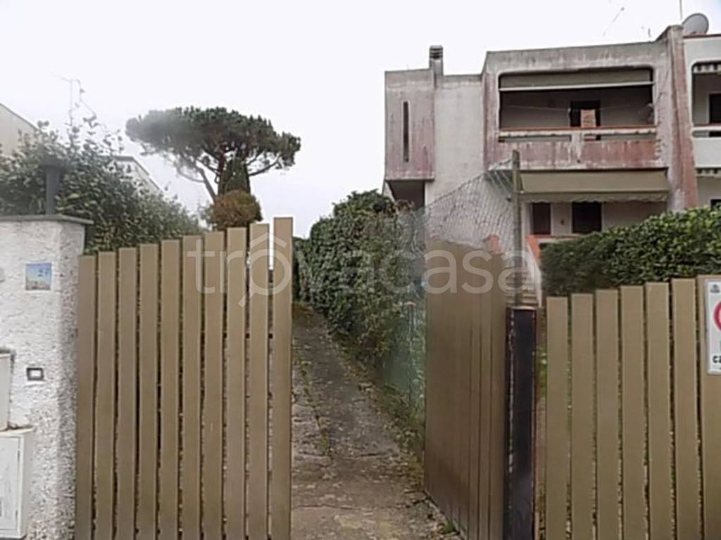 immagine annuncio 13 di 14