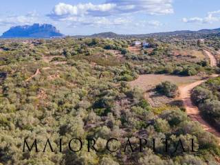 Terreno agricolo in vendita a olbia murta maria