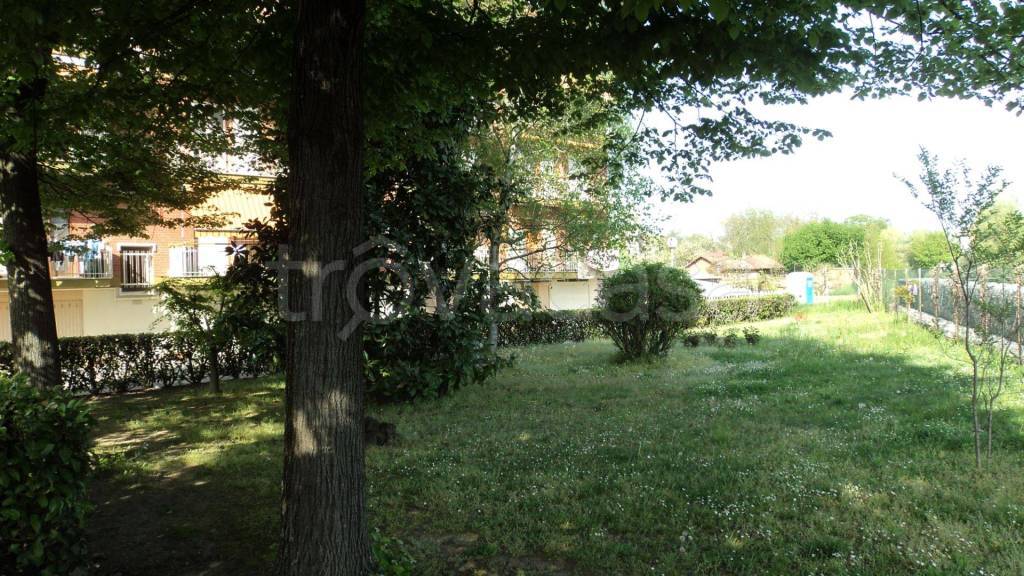 immagine annuncio 11 di 13
